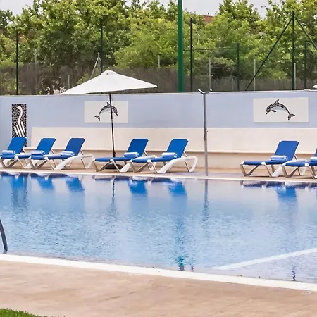 ミディアム バレンシア